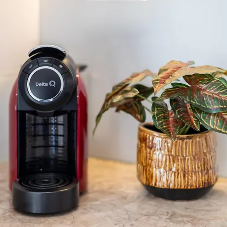 Duques Luxury Affittacamere Lisbona